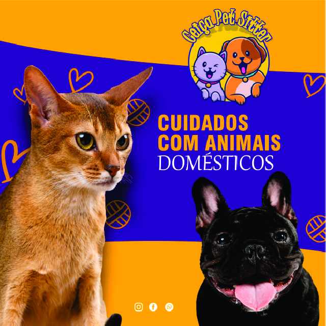 Ceiça pet sitter em dourados ms